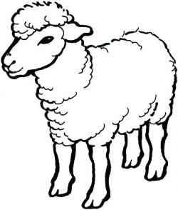 Sheep clipart outline 2 » Clipart Station