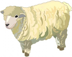 Free Sheep Cliparts, Download Free Clip Art, Free Clip Art ...