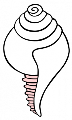 File:White conch symbol.svg - Wikimedia Commons