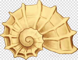 sheshells gold clipart Seashell Clip art clipart - Seashell ...
