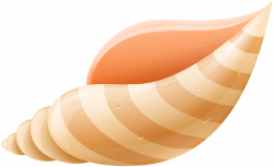 Sea Shell PNG Clip Art Image | Gallery Yopriceville - High-Quality ...