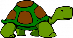 Shell Clipart Turtle Free collection | Download and share Shell ...