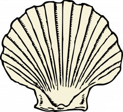 Clipart - scallop shell