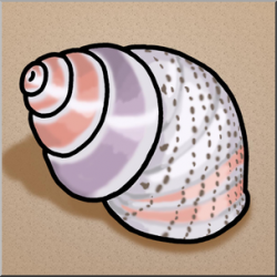 Clip Art: Seashells: Periwinkle Shell Color I abcteach.com ...