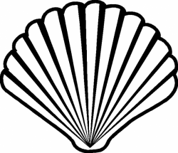 the Scallop Shell, like the oyster, cowrie shell and coco-de ...