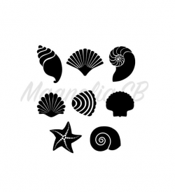 Sea Shells SVG / Sea Shells DXF / Shells Silhouettes Clipart /, cutting,  Sea Shells vector, Sea Shells shape, Sea Shells silhouette