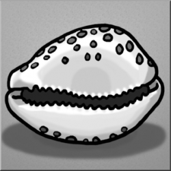 Clip Art: Seashells: Cowrie Shell Grayscale I abcteach.com ...