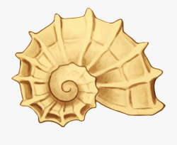 Sea Shell - Sea Shell Clip Art Png #49996 - Free Cliparts on ...