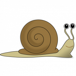 Snail Clip art - Snail 1024*1024 transprent Png Free Download ...
