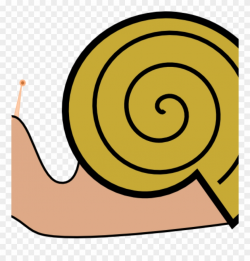 Snail Clipart Pond Snail - Cartoon Snail Shell - Png ...