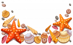 Conch Shell Clipart at GetDrawings.com | Free for personal use Conch ...