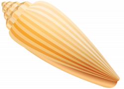 Shell PNG Clip Art - Best WEB Clipart