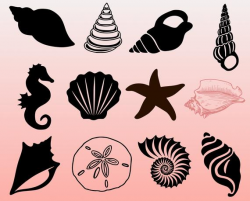 Seashell SVG Bundle, Seashell Cut Files, dxf, png, eps, svg, shell clipart,  sea shell svg, beach svg, files cricut, starfish svg, seahorse