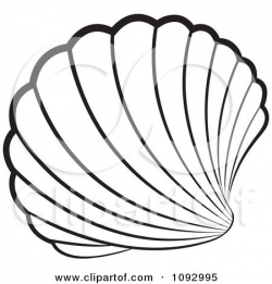 Seashell Stained Glass Patterns | Clipart Black And White ...