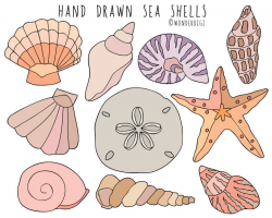 Sea Shells clipart Hand Drawn Clip Art Beach Clipart Shells