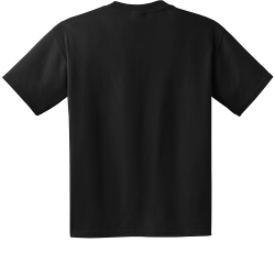 Men's 100% Cotton T-Shirts Hanes 5190