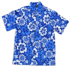 97+ Hawaiian Shirt Clip Art | ClipartLook