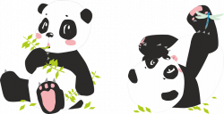 Panda Bear Cartoon Pictures#5189417 - Shop of Clipart Library