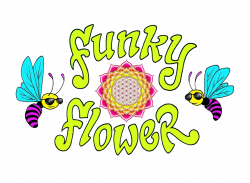 I'm Sorry Flower Delivery in Huntington | Funky Flower Shop