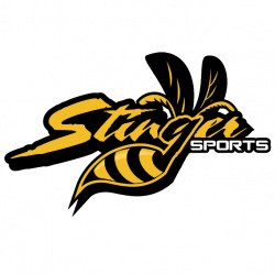 Stinger Sports - Sporting Goods Store - Horseheads, NY 14845