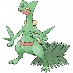 Sceptile (Pokemon) - Newcomer from the Pokemon series. Based on ...