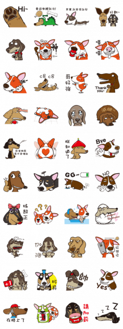 The most popular pets are having short legs and lovely expression ...