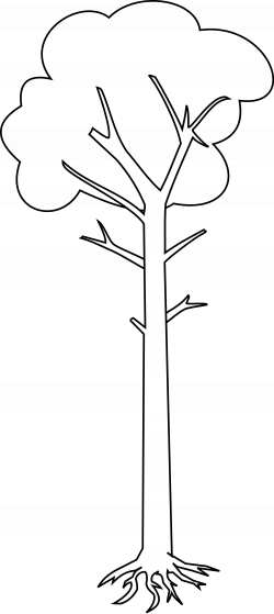 28+ Collection of Tall Tree Clipart Black And White | High quality ...