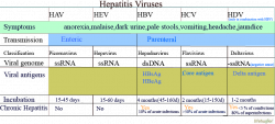 Posts by admin | What Is Hepatitis A - Page 68