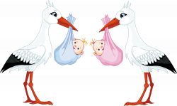 White stork Infant Clip art - baby shower 1250*747 transprent Png ...