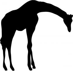 Free Animal Silhouettes, Download Free Clip Art, Free Clip ...