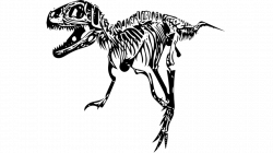 Tyrannosaurus Rex Clipart Skeleton#4020541