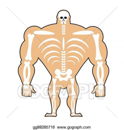 Vector Art - Human structure. skeleton men. construction of ...