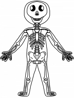 Fun Skeleton Cliparts - Cliparts Zone