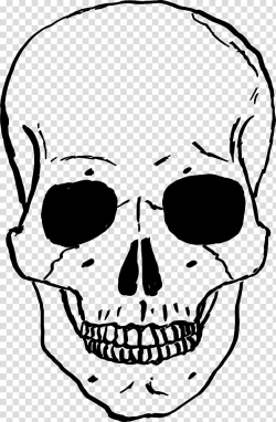 Skull Human skeleton Drawing , skull transparent background ...