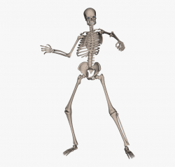 Clipart Skeleton Man - Skeleton Transparent #569127 - Free ...