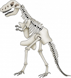fayette-uROCKmw-dino-skeleton2.png | Pinterest | Clip art and Scrapbook