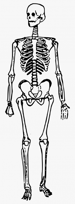 Bones Clipart Skeleton Foot - Skeleton Man #64910 - Free ...