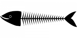 FISHBONES, FISH, SKELETON, DEAD, BLACK, BONES, SARDINE - Public ...