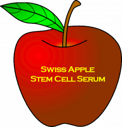 Apple Stem Cell Massage Cream