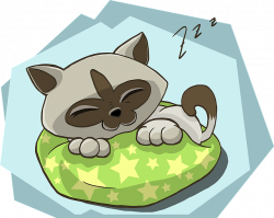 Free Image on Pixabay - Kitten, Kitty, Cat, Sleeping, Sleep | Cat ...