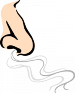 Nose Smelling Clipart | Clipart Panda - Free Clipart Images