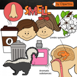 Smell: Five Senses Clipart