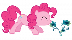 Stop and smell the flowers, Pinkie by TechRainbow on DeviantArt