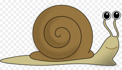 Snail Clip art - Ag Cliparts png download - 2400*1357 - Free ...