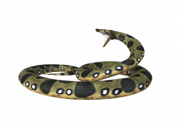 Anaconda PNG Transparent Anaconda.PNG Images. | PlusPNG