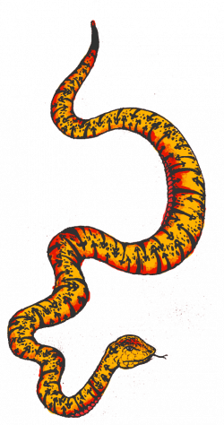 I - Colourful Snake Png Clipart - Full Size Clipart ...