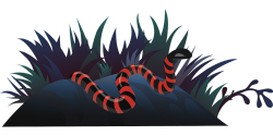 Coral snake clipart, explore pictures