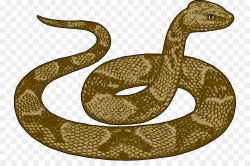Snake Cartoon clipart - Snakes, Snake, transparent clip art
