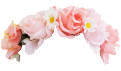 Rose Flower Crown Snapchat Filter transparent PNG - StickPNG