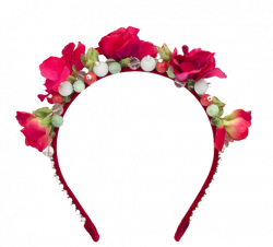 Snapchat Flower Crown PNG HD | PNG Mart
